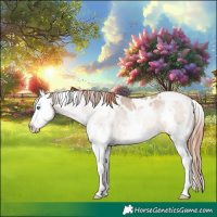 Horse Color:White Spotted Brown Pearl Dun Splash Varnish 
