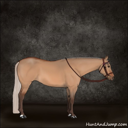 Horse Color:Silver Bay Dun