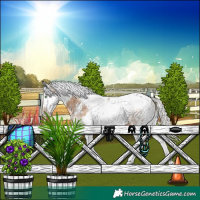 Horse Color:White Spotted Silver Bay Dun Splash Tobiano Rabicano 