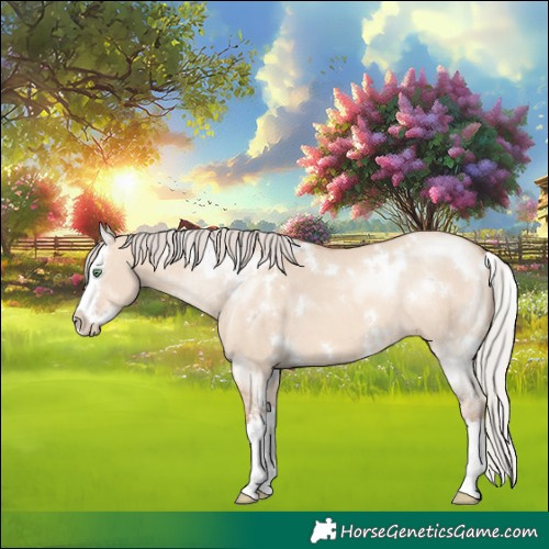 Horse Color:White Spotted Silver Sable Champagne Dun Splash 