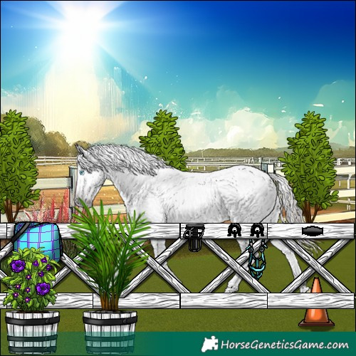 Horse Color:Gray Amber Champagne Dun Splash Tobiano Blanket Rabicano 