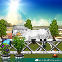 Horse Color:Gray Amber Champagne Dun Splash Tobiano Blanket Rabicano 