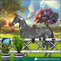 Horse Color:White Spotted Black Ice 