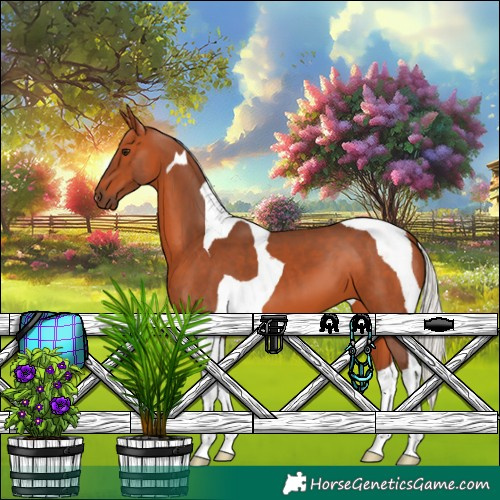 Horse Color:Silver Bay Tobiano
