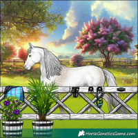Horse Color:Gray Sable Champagne Dun 
