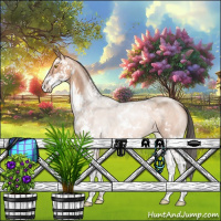 Horse Color:Amber Champagne Sabino Rabicano