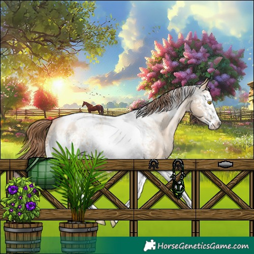 Horse Color:White Spotted Brown Pearl Dun Splash Tobiano Appaloosa Rabicano 