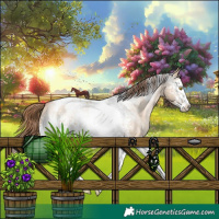 Horse Color:White Spotted Brown Pearl Dun Splash Tobiano Appaloosa Rabicano 
