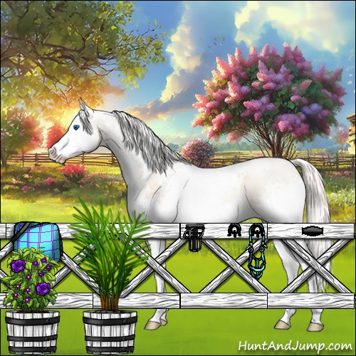 Horse Color:White Spotted Silver Classic Champagne Pearl Dun Splash Rabicano 