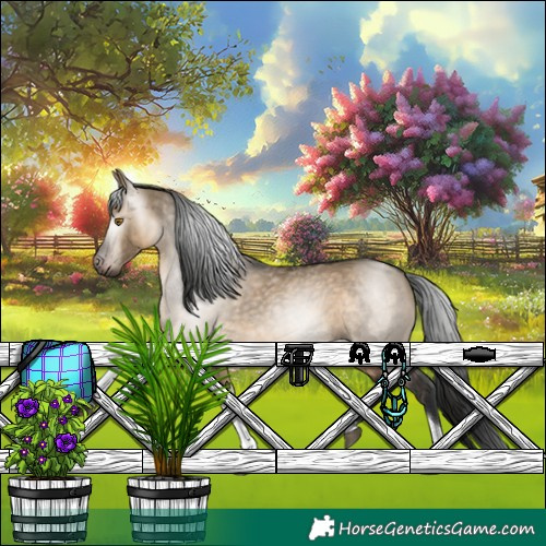 Horse Color:Gray Brown Dun Tobiano 