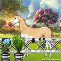 Horse Color:Buckskin Dun Splash Appaloosa 