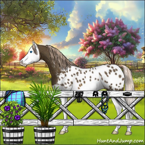 Horse Color:Chocolate Palomino Splash Appaloosa 