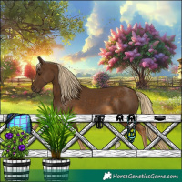 Horse Color:Chocolate Palomino 