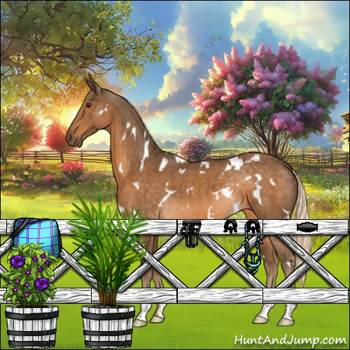 Horse Color:White Spotted Chocolate Palomino 