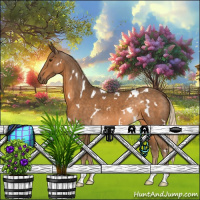 Horse Color:White Spotted Chocolate Palomino 