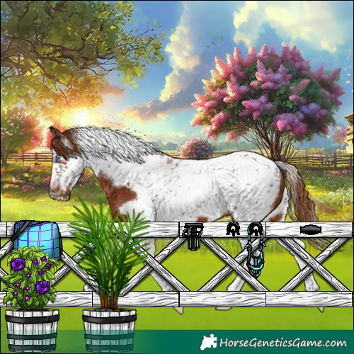 Horse Color:Chestnut Sabino Splash Tobiano Frame