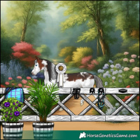 Horse Color:White Spotted Bay Splash Frame