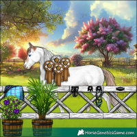 Horse Color:Chestnut Splash Tobiano Frame 