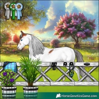 Horse Color:Bay Splash Tobiano Frame 