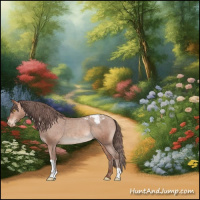 Horse Color:Amber Champagne Snowcap