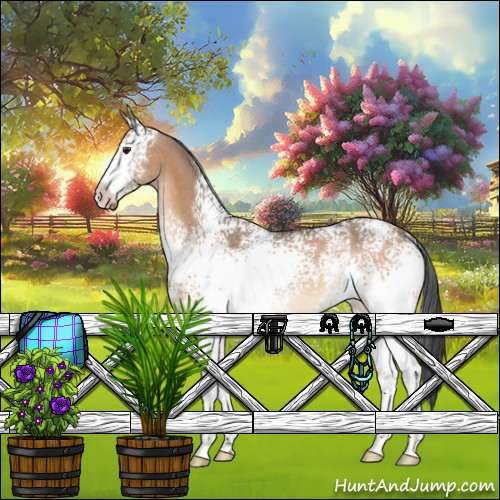 Horse Color:White Spotted Brown Dun