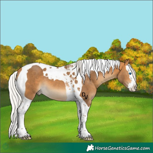 Horse Color:Silver Buckskin Splash Tobiano