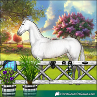 Horse Color:Gray Silver Bay Ice Roan Dun