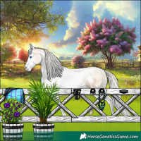 Horse Color:White Spotted Silver Classic Champagne Pearl Dun Splash 