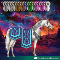 Horse Color:White Spotted Silver Classic Champagne Roan Pearl Dun Rabicano 