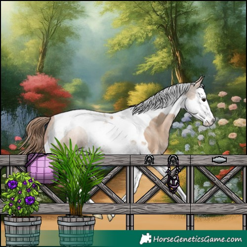 Horse Color:Grullo Pearl Splash Tobiano