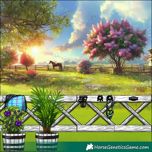 Horse Color:White Spotted Silver Grullo Pearl Sabino Splash 