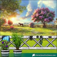 Horse Color:White Spotted Silver Grullo Pearl Sabino Splash 