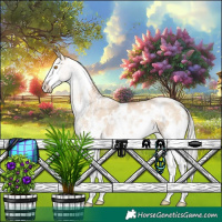 Horse Color:White Spotted Silver Grullo Pearl Sabino Splash 