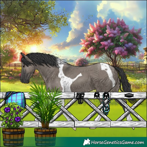 Horse Color:Grullo Tobiano