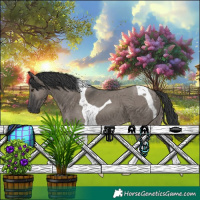 Horse Color:Grullo Tobiano