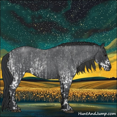 Horse Color:White Spotted Blue Roan Rabicano and Blue Roan Rabicano