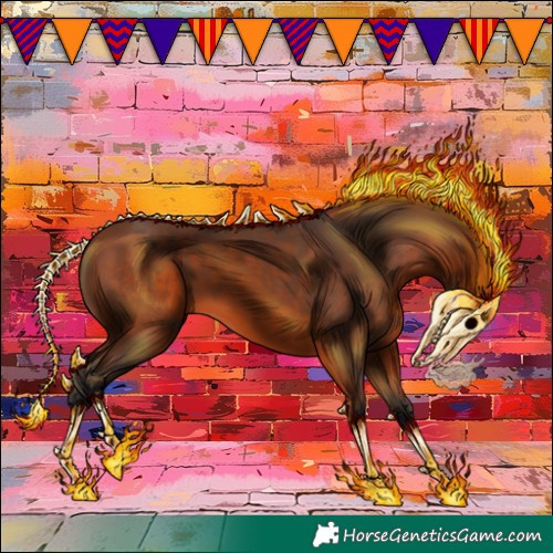 Horse Color:Bay 