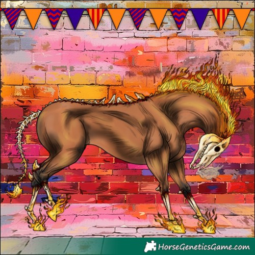 Horse Color:Bay 