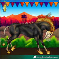 Horse Color:Black 
