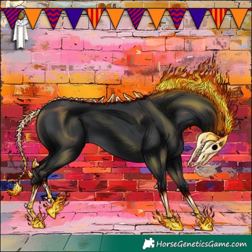 Horse Color:Black 