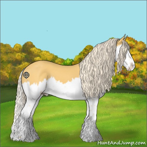 Horse Color:Palomino Splash 