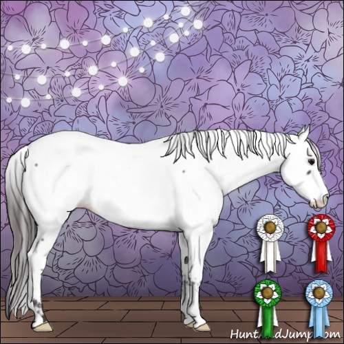 Horse Color:Smoky Black Appaloosa 