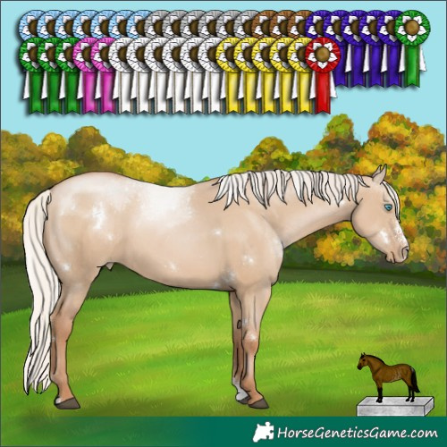 Horse Color:White Spotted Silver Grullo Pearl Sabino Rabicano