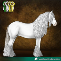 Horse Color:White Spotted Buckskin Dun Splash Appaloosa Brindle 
