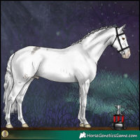 Horse Color:Platinum Silver Smoky Grullo Appaloosa 