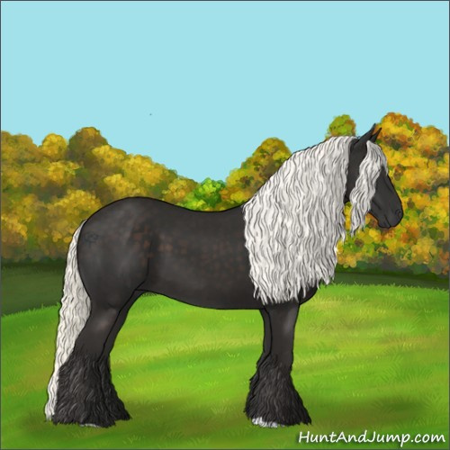 Horse Color:Liver Chestnut Mushroom 