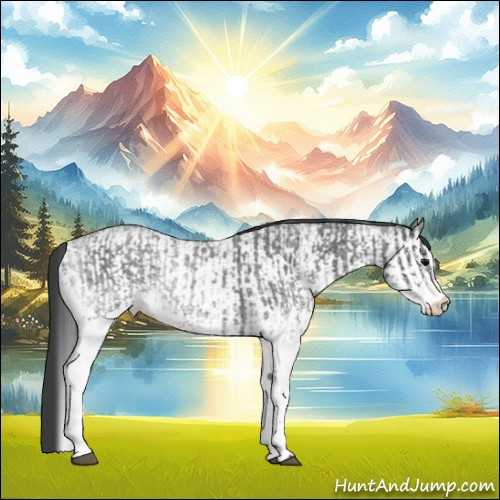 Horse Color:White Spotted Blue Roan Rabicano  and White Spotted Blue Roan Rabicano 