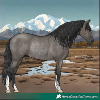 Horse Color:Grullo Rabicano 