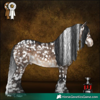 Horse Color:White Spotted Brown Dun Appaloosa Brindle