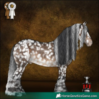 Horse Color:White Spotted Brown Dun Appaloosa Brindle 
